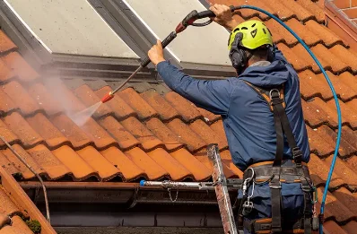 Démoussage et hydrofuge de toiture à Argut-Dessous